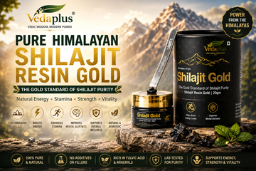 Shilajit Resin Gold: The Natural Solution for Energy, Stamina & Daily Vitality