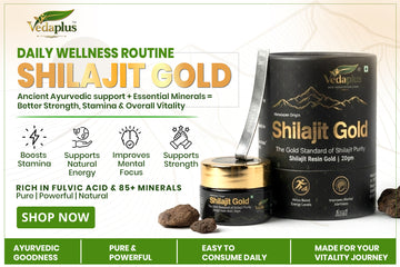 Shilajit Gold Resin Natural Energy, Strength & Vitality Support