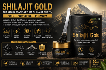 Shilajit Resin Gold 20gm: The Ultimate Ayurvedic Supplement for Energy, Strength  Daily Vitality