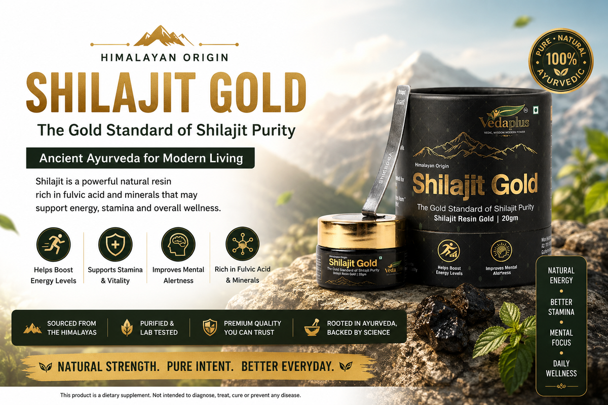 Energy, Stamina & Daily Wellness Guide
